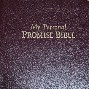 Women's personal promise Bible
